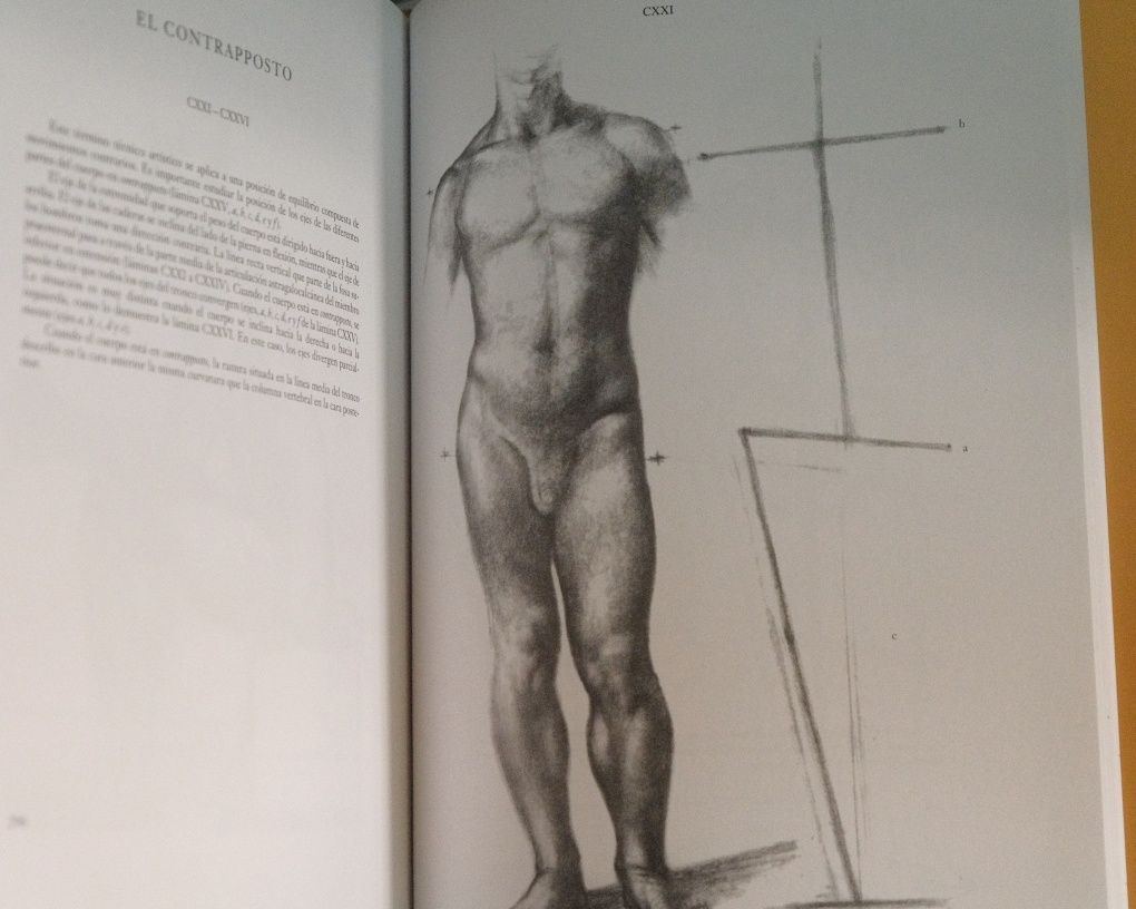 Anatomía artística del cuerpo humano, Jeno Barcsay