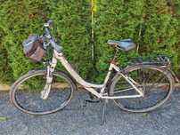 Pegasus Solero SL 28"
