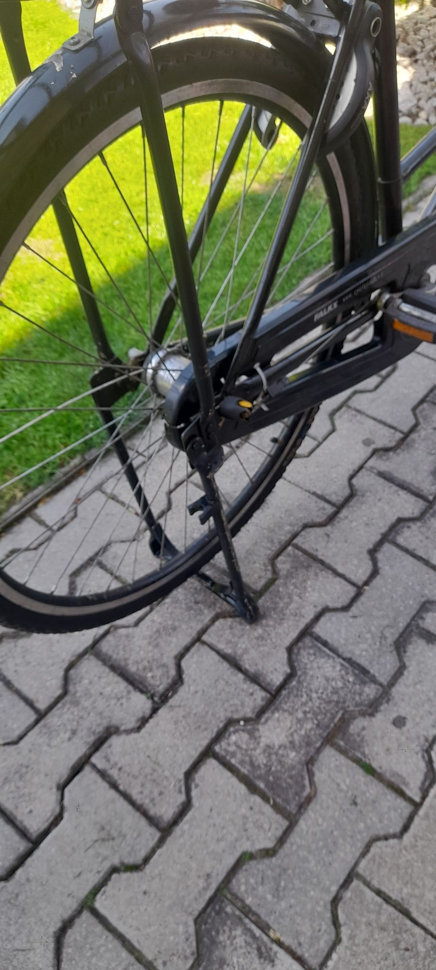 Rower holenderka