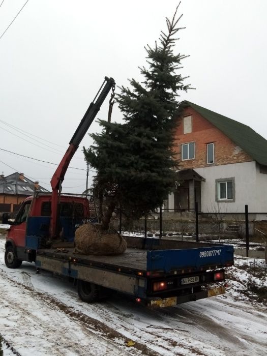 Грузоперевезення . зб кільця. доставка . жб кольца. кран маніпулятор