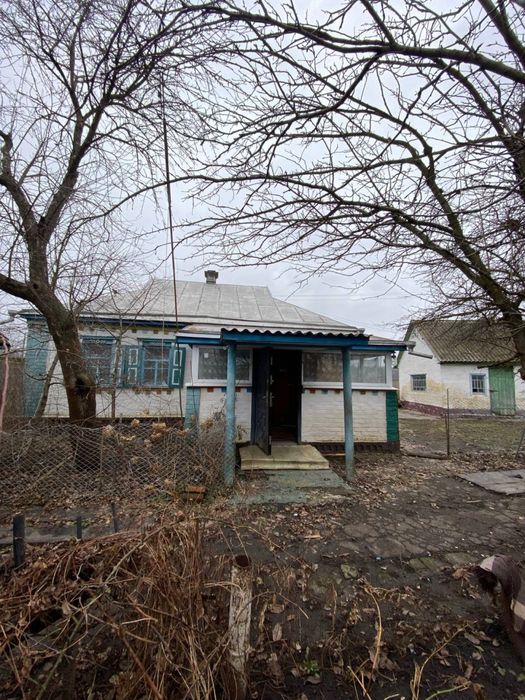 Будинок у селі з господарськими спорудами