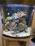 Aquario JAD 120L +\-