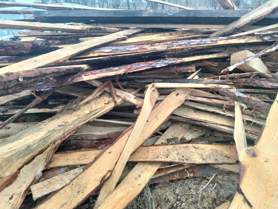 oszasty sosnowe, zrzyny tartaczne, drewno sosnowe