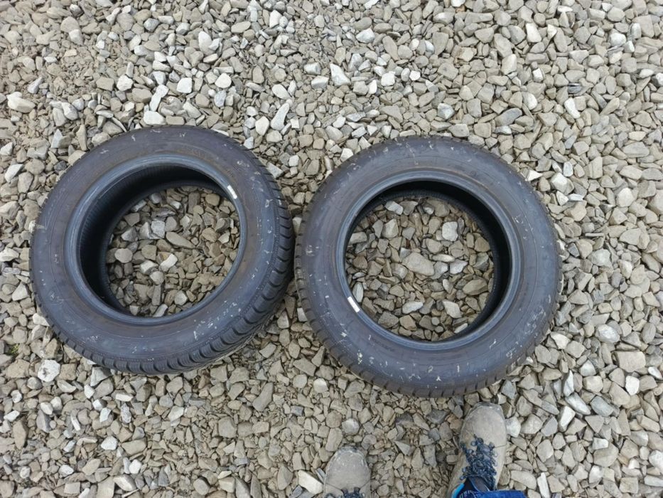 Opony Dębica Frigo II 2023rok