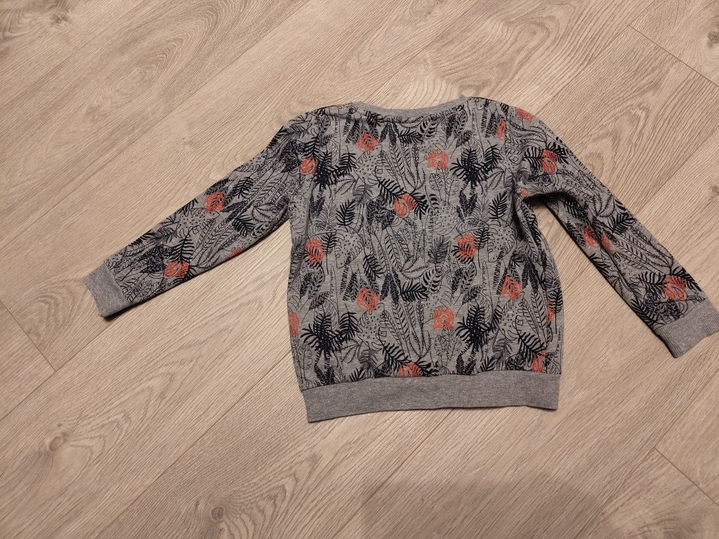 Bluza chłopięca Lupilu 110/116