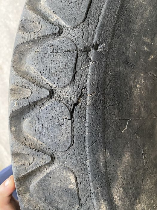 Шина модель И83 8.25-15