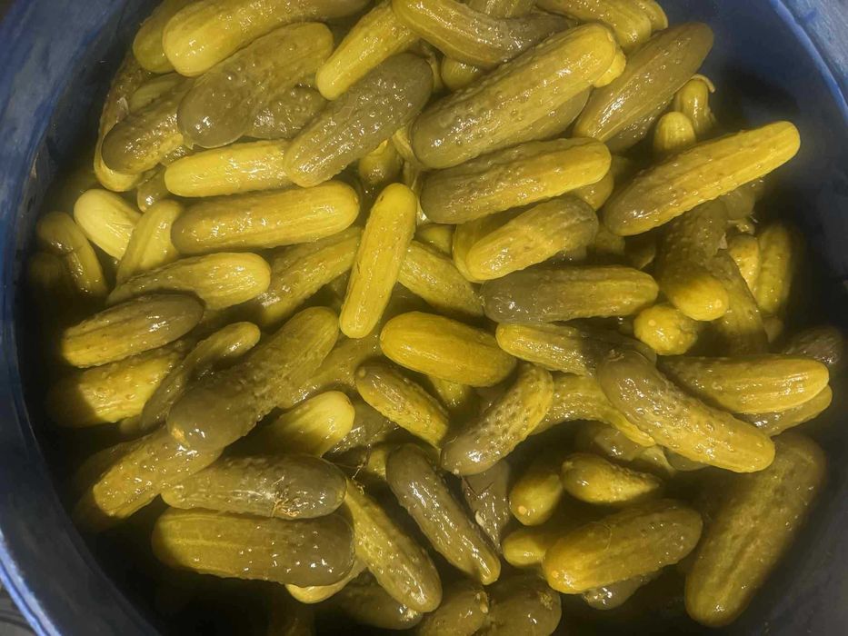 Ogórek kiszony ATOMIC