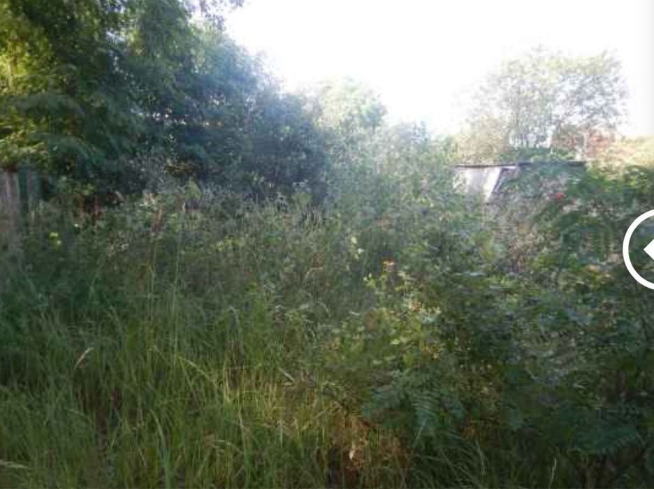 Розчистка ділянок під ключ/зрізання дерев/покос трави/прибирання