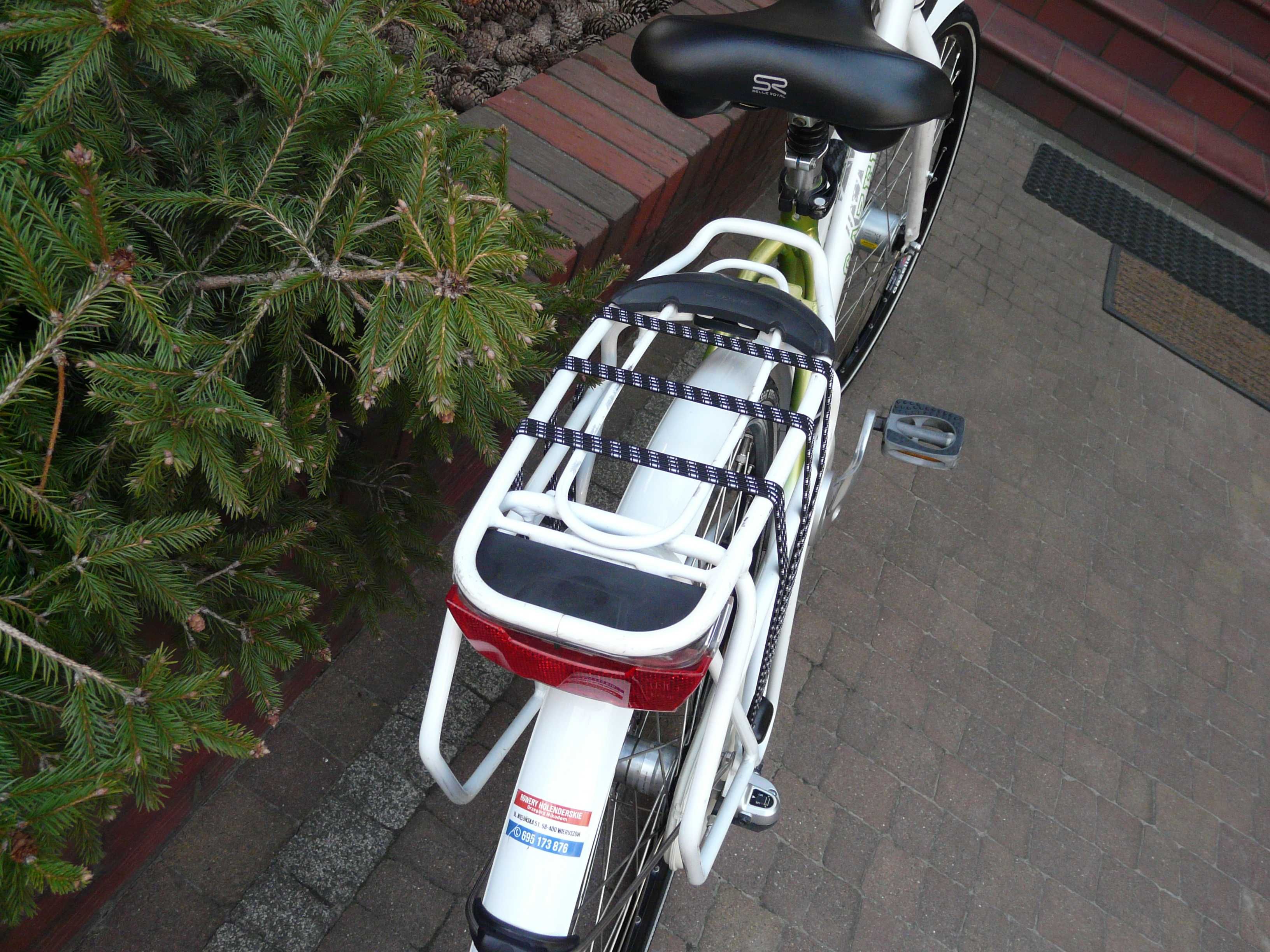 Rower miejski GAZELLE Esprit Ltd 28"/49 Niderland
