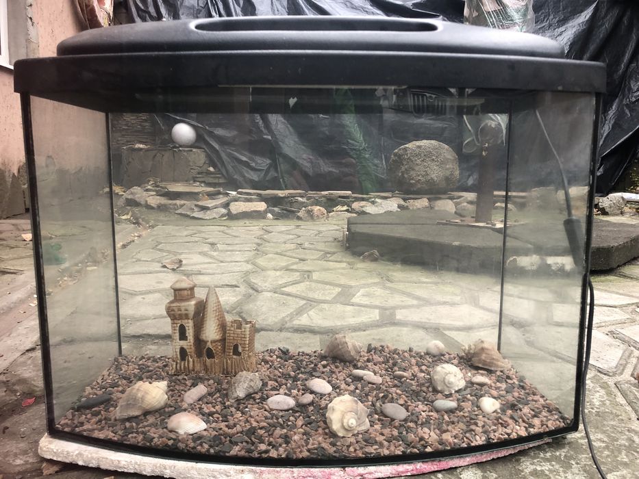 Аквариум со всеми принадлежностями