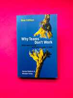 Why Teams don't Work - Hervey Robbins e Michael Finley