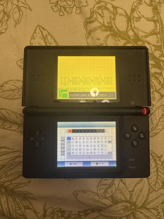 Nintendo DS Lite