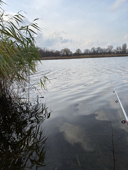 Земельна ділянка