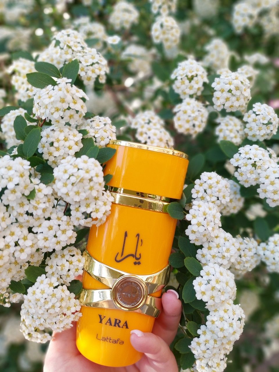Lattafa парфюм Lattafa Perfumes Yara Tous (Латтафа Парфюм Яра