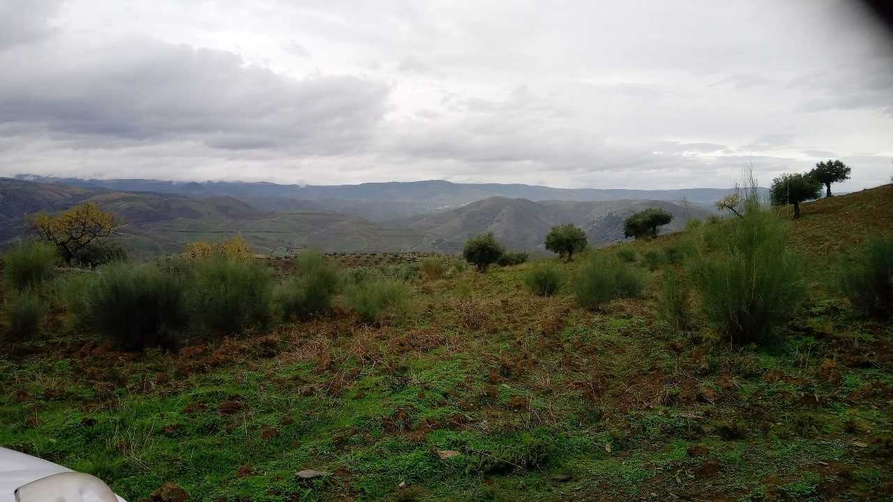 Terreno 15000m2 (1,5h)