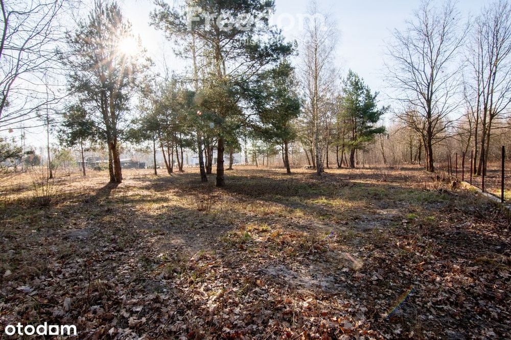 Działka budowlana w odległości 500m od trasy E7
