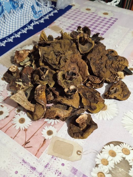 Гриби білі сушені