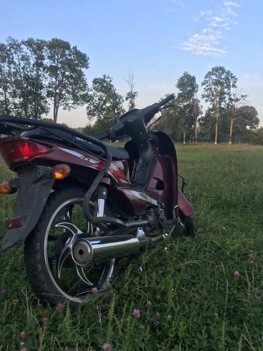 Продам Mustang aktive110