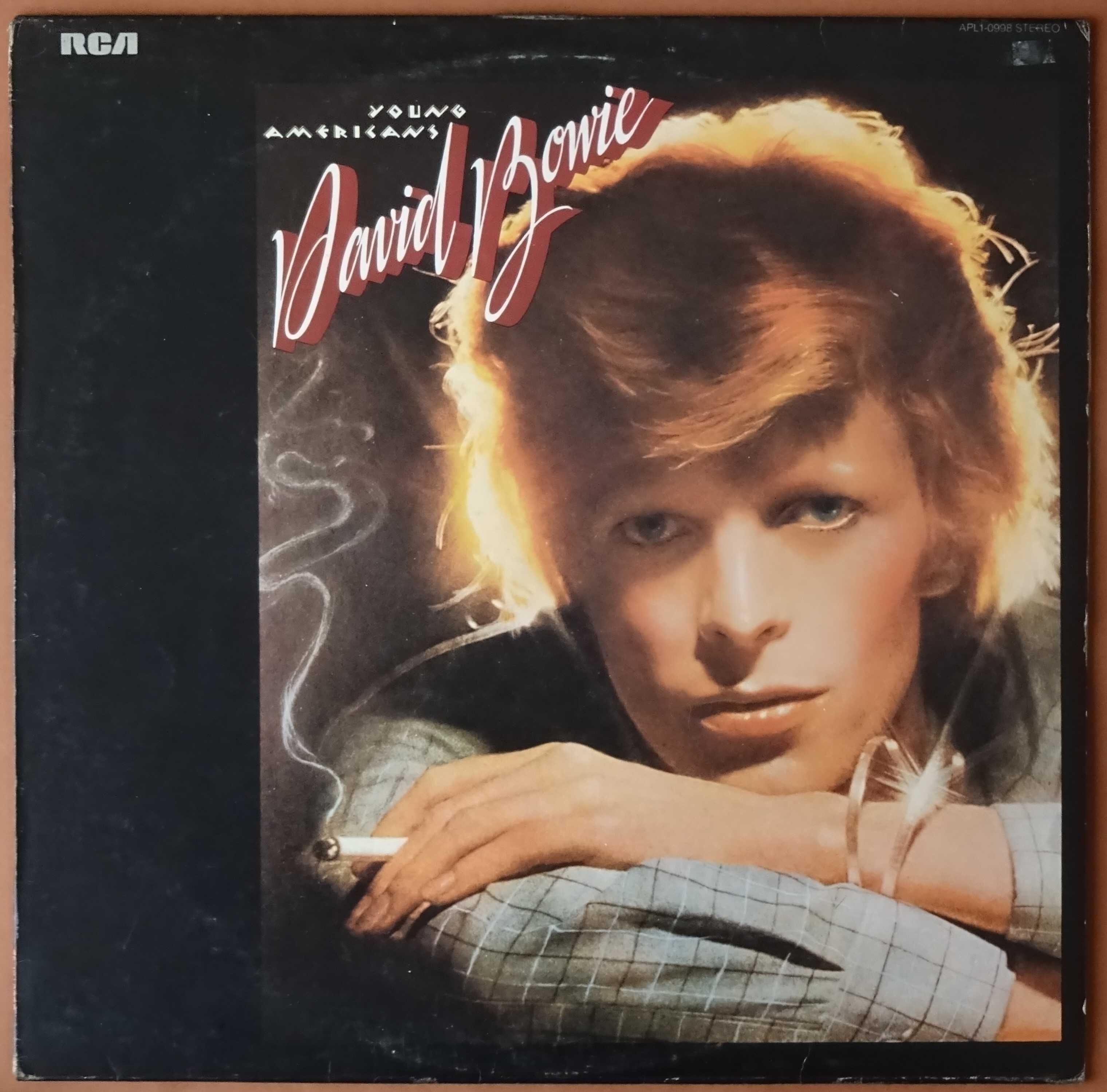 Discos de vinil usados - David Bowie, Mekons, Beatles, etc.