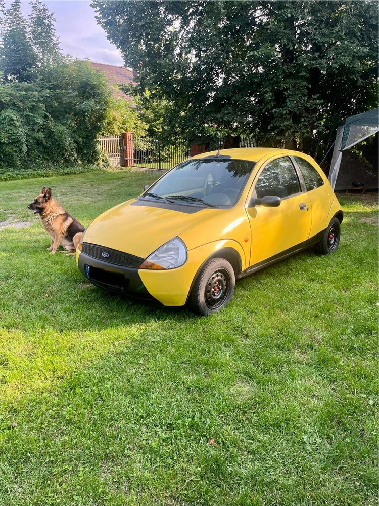 Sprzedam samochód Ford Ka 1,3 2004r. w b. dobrym stanie.