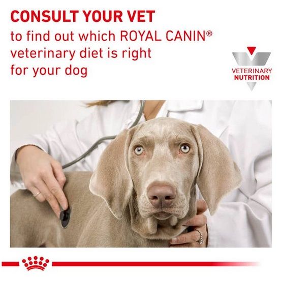 Niskotłuszczowa karma dla małego psa z ostrą biegunką RoyalCanin 1,5kg