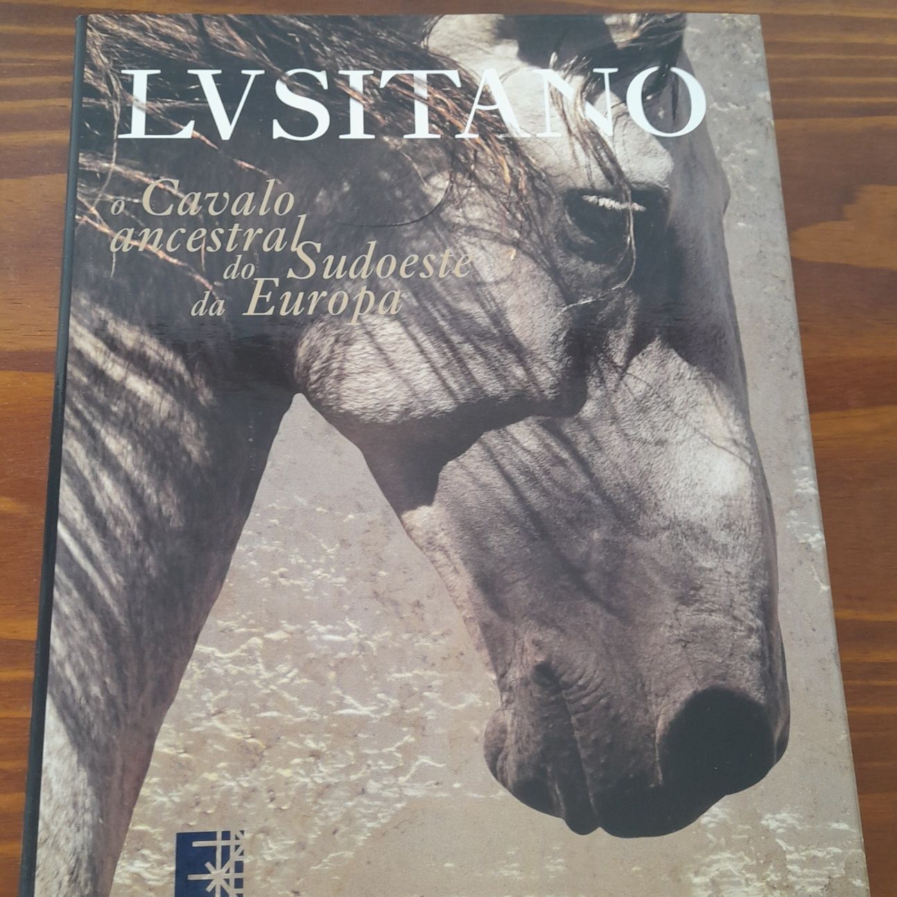 Cavalo lusitano novo