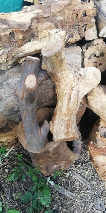 Madeira, troncos rústicos artesanato decoração