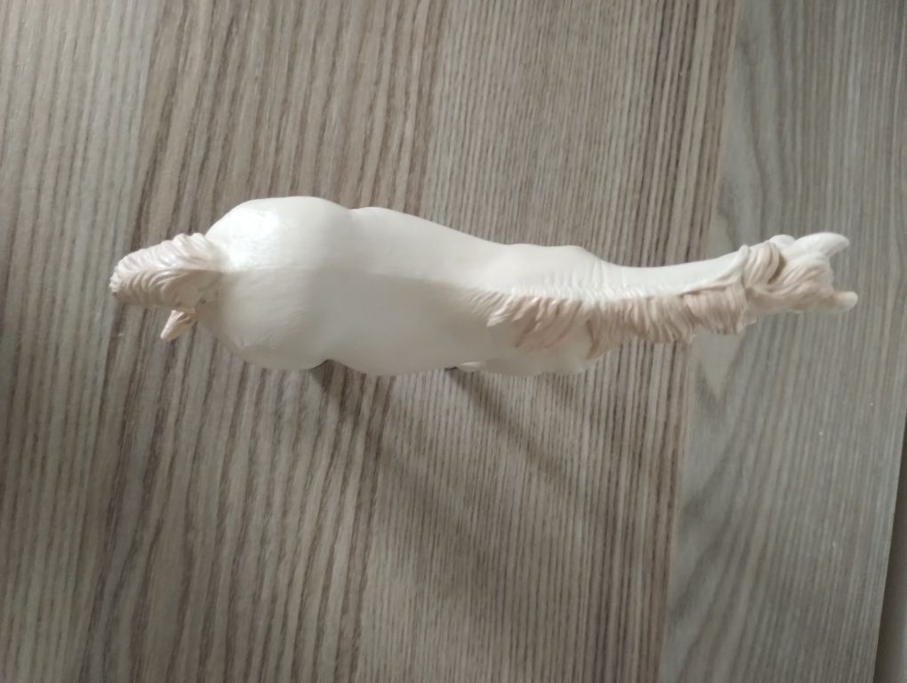 Klacz camargue collecta