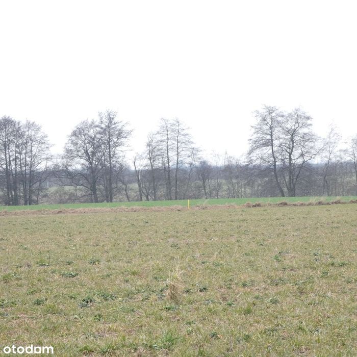 kompleks działek na zabudowę mieszkaniową