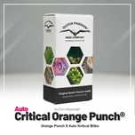 Nasiona konopi Auto Critical Orange Punch 3 sztuki Dutch Passion