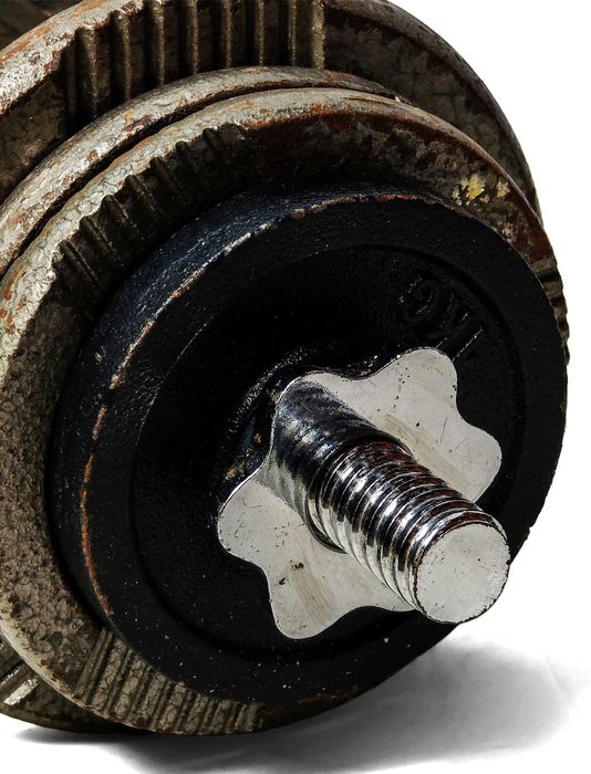 Zestaw hantli żeliwnych 12 kg