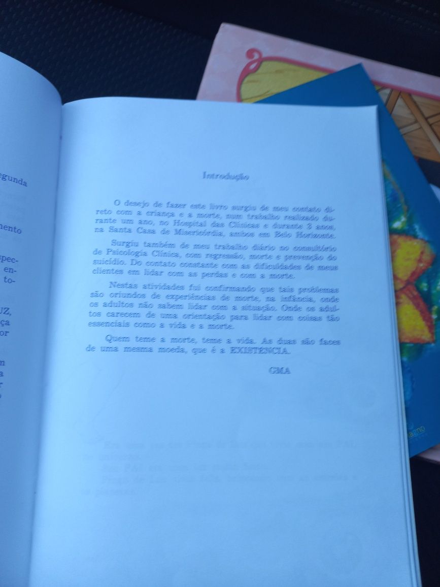 Apoio ao luto crianças - livro Pingo de Luz