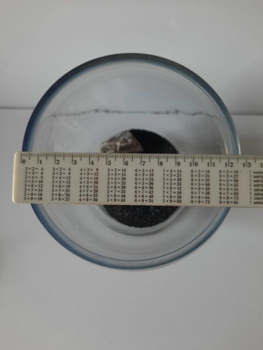 Ваза аквариум для петушка.