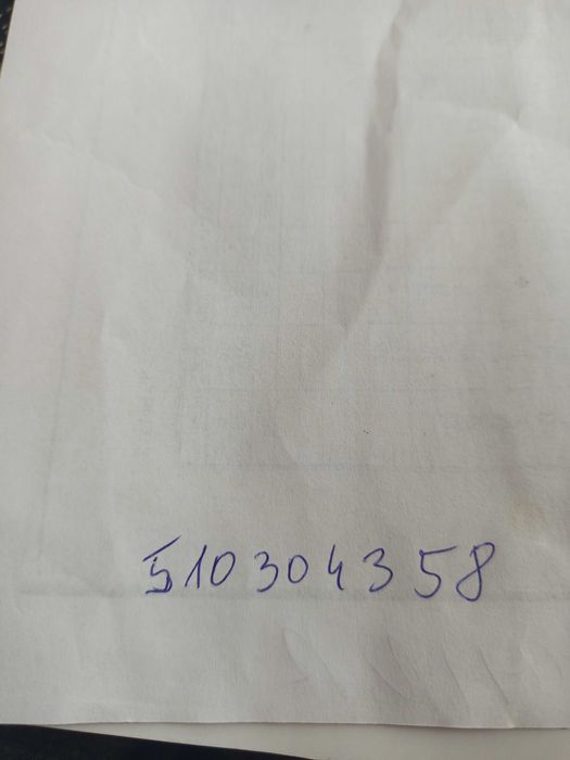 Gołębie orliki stujkowe