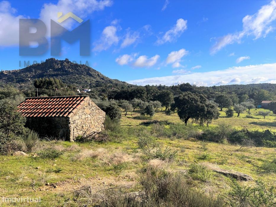 Quintinha  Venda em Monsanto e Idanha-a-Velha,Idanha-a-Nova