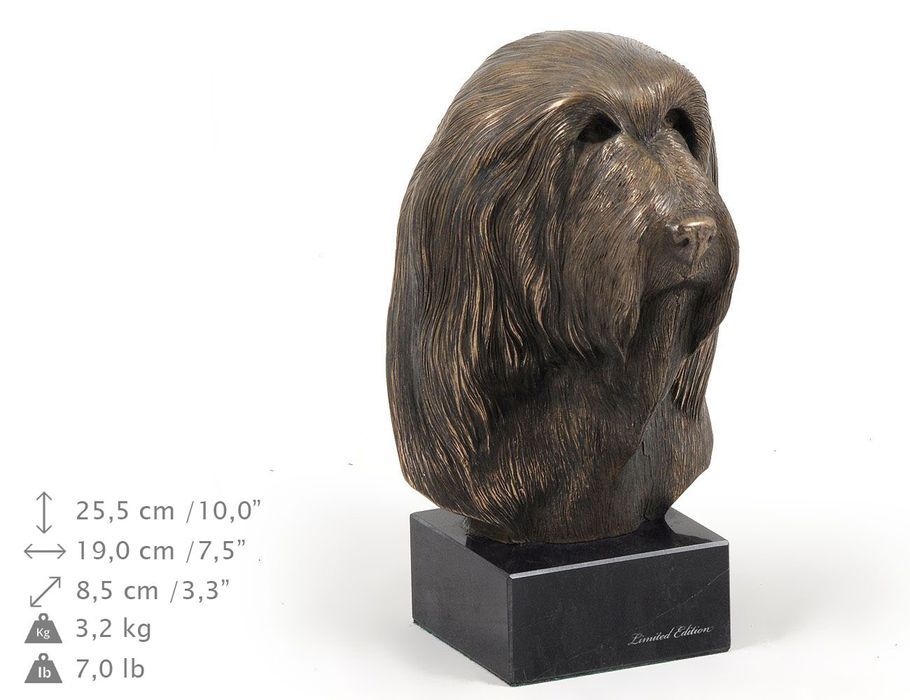 Bearded Collie głowa na kamieniu Art-Dog