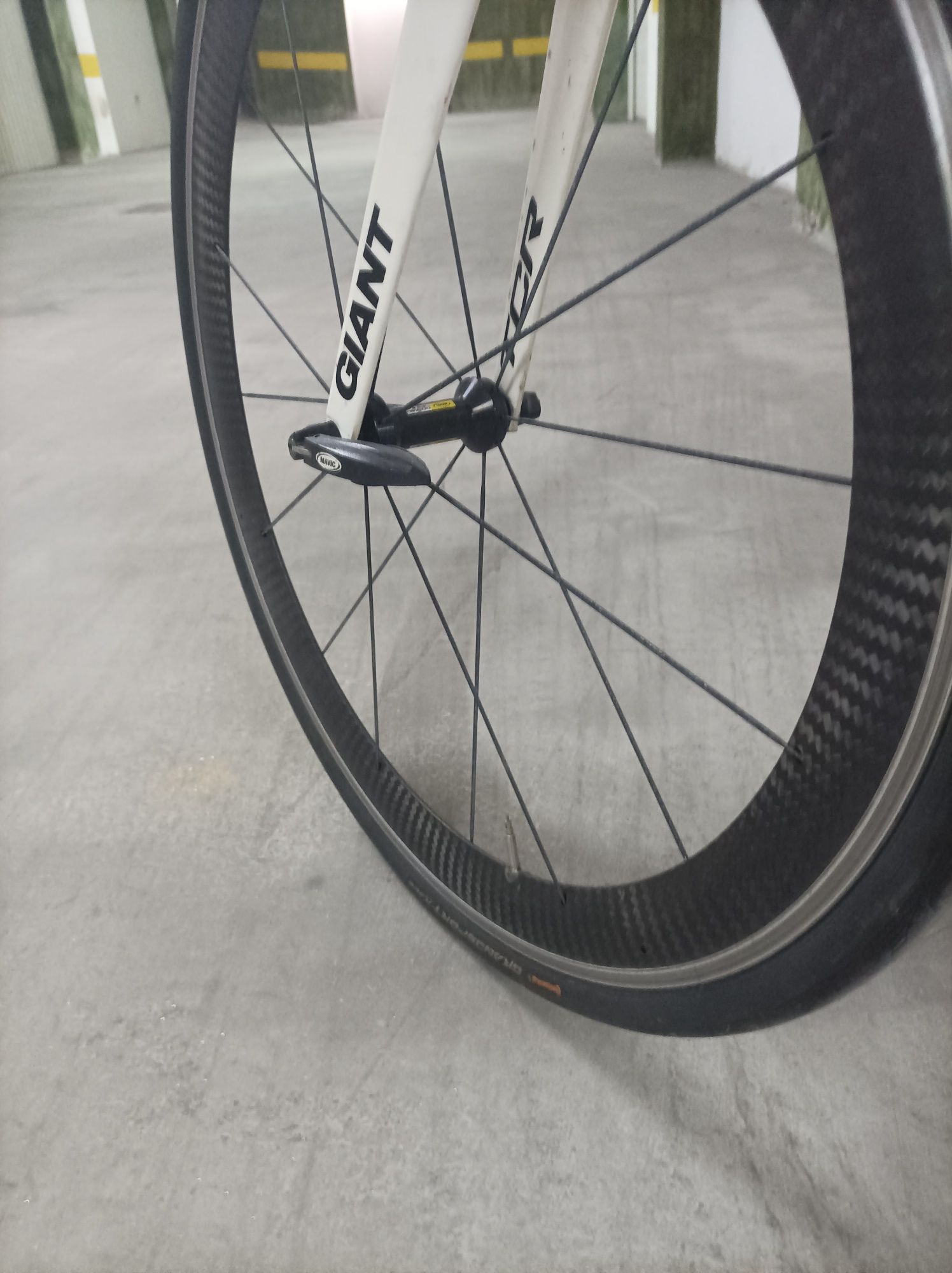 Giant Tcr Composite 1