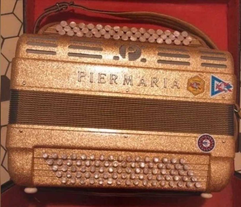 Vendo Acordeão PIERMARIA 2 voz + Mala