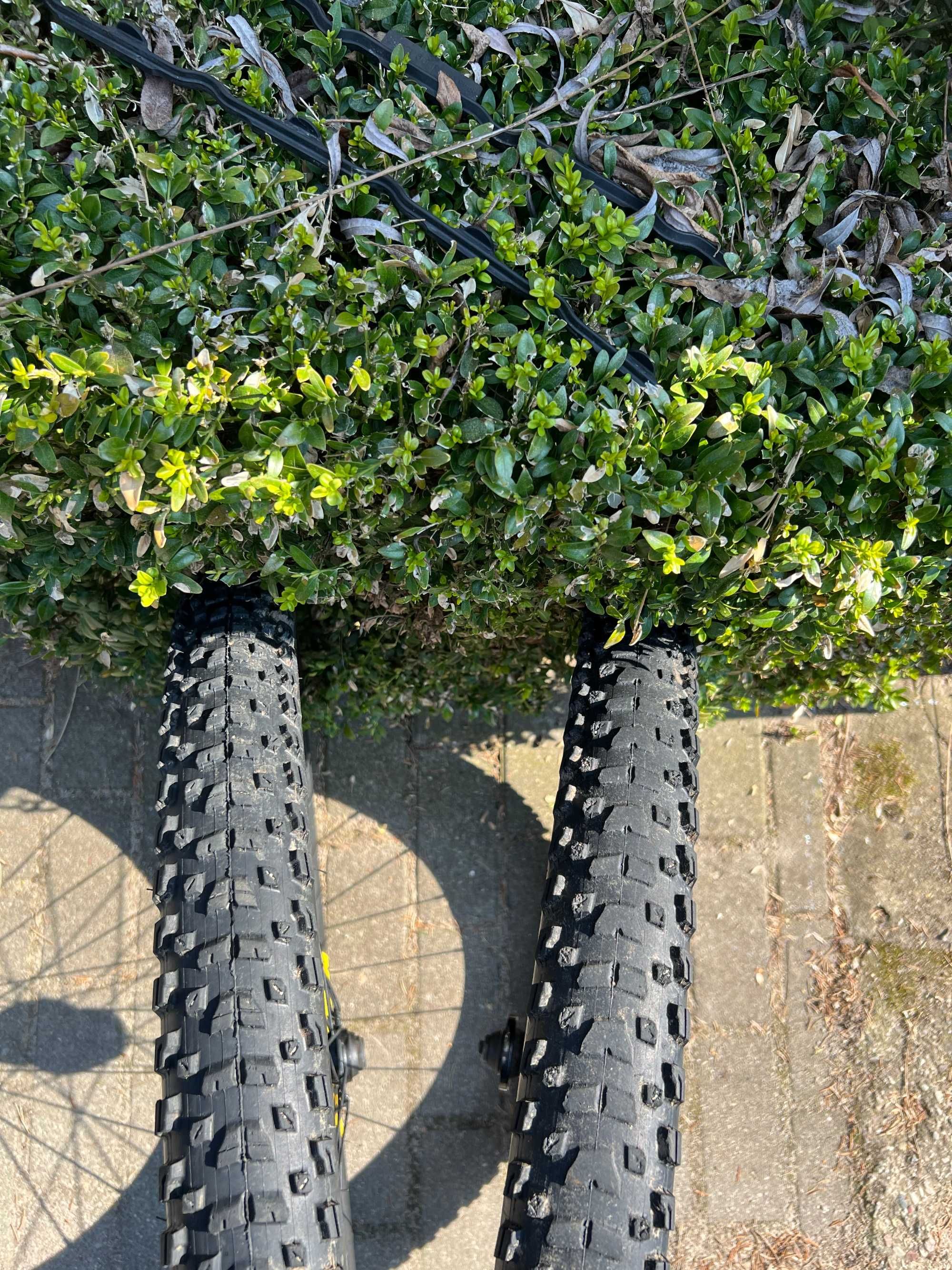 koła Bontrager line 40 boost 141