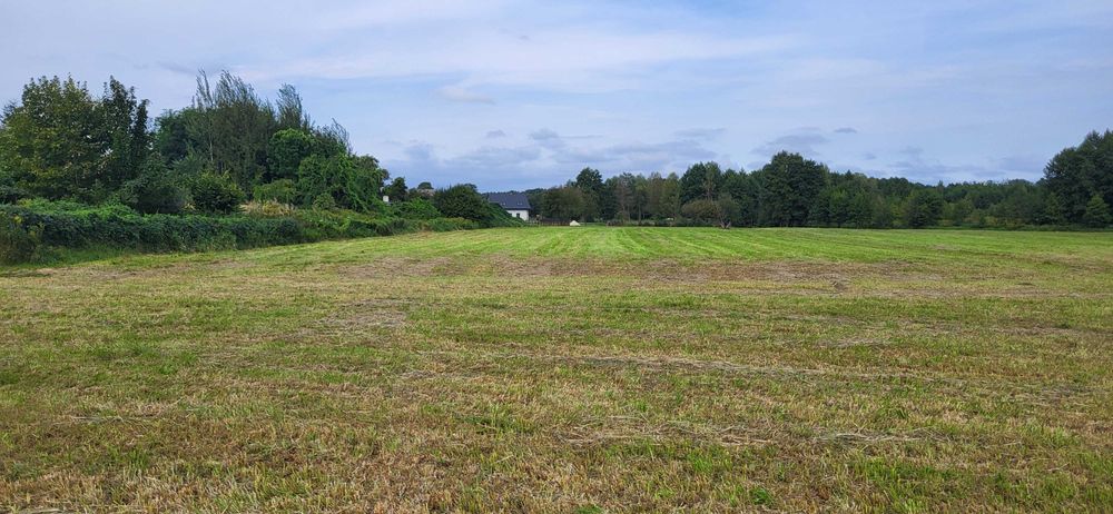 Sprzedam łąkę we wsi Raków