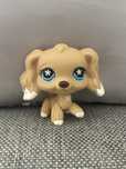 LPS Cocker Spaniel 2006 Hasbro Oryginał