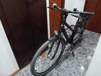 Bicicleta carver