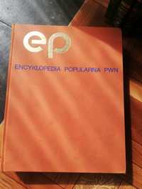 Encyklopedia popularna PWN