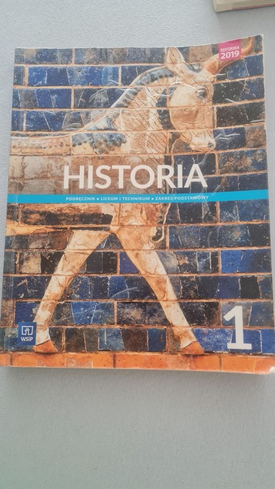 Podręcznik Historia 1, Wsip