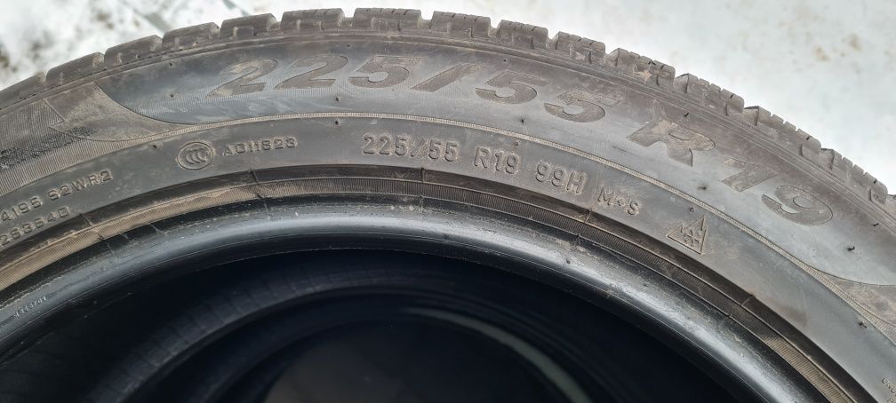 Pirelli Scorpion Winter 225 55 r19