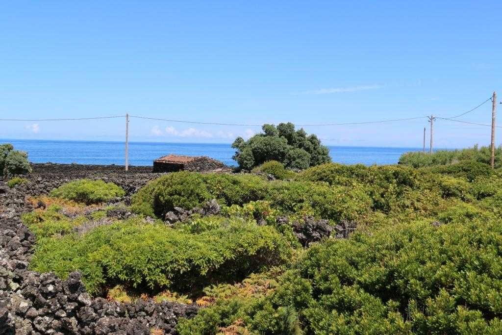 Terreno Cais Mourato - Ilha do Pico