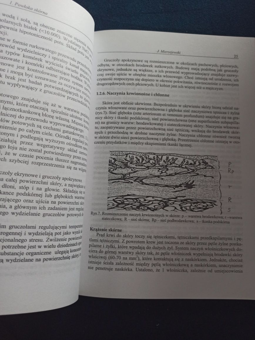 Elementy Dermatologii Kosmetycznej Jerzy Mierzejewski