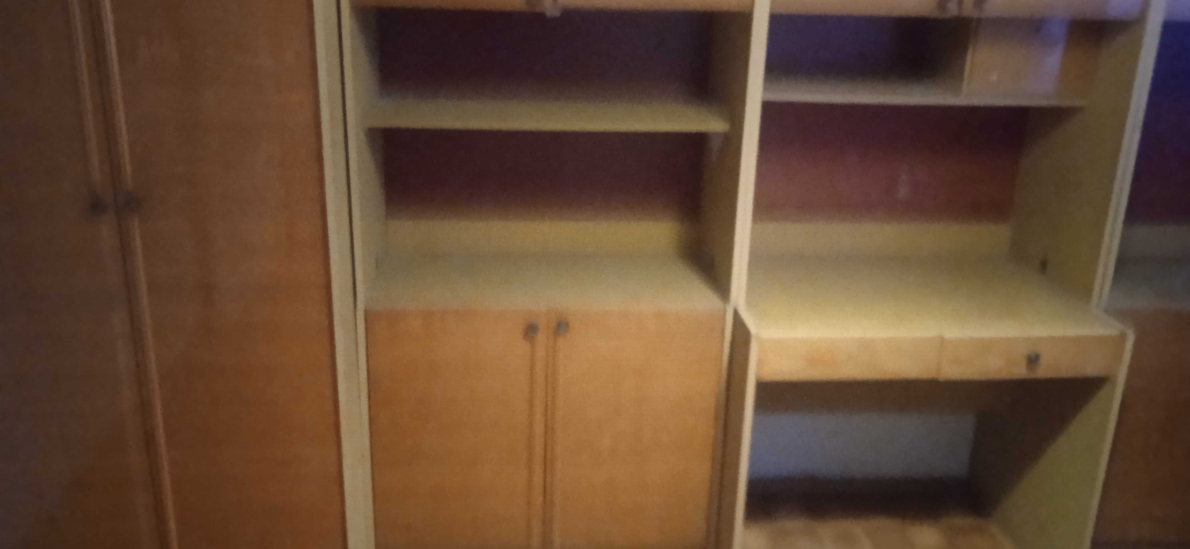 Изделия и заготовки из  дерева и ДСП