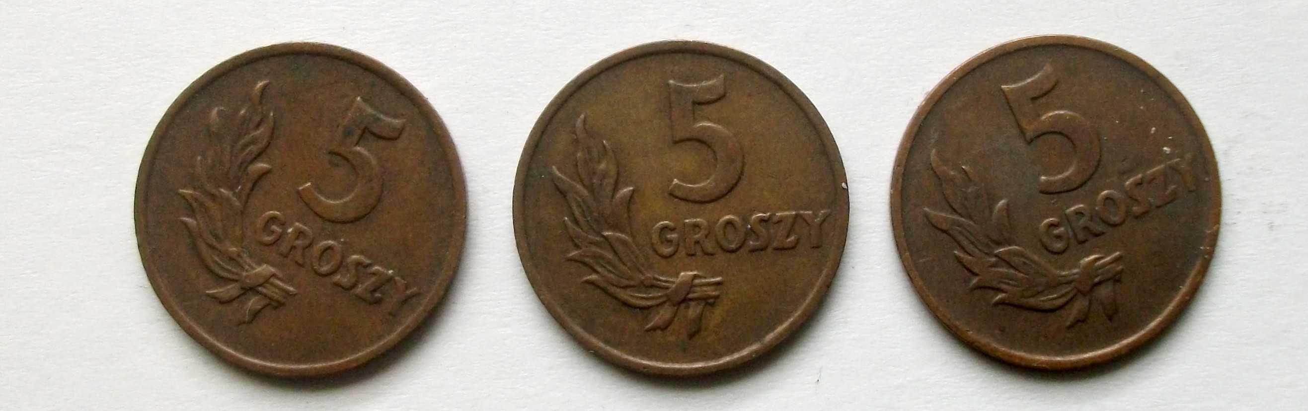 5 groszy 1949 brąz Ładne 3 sztuki