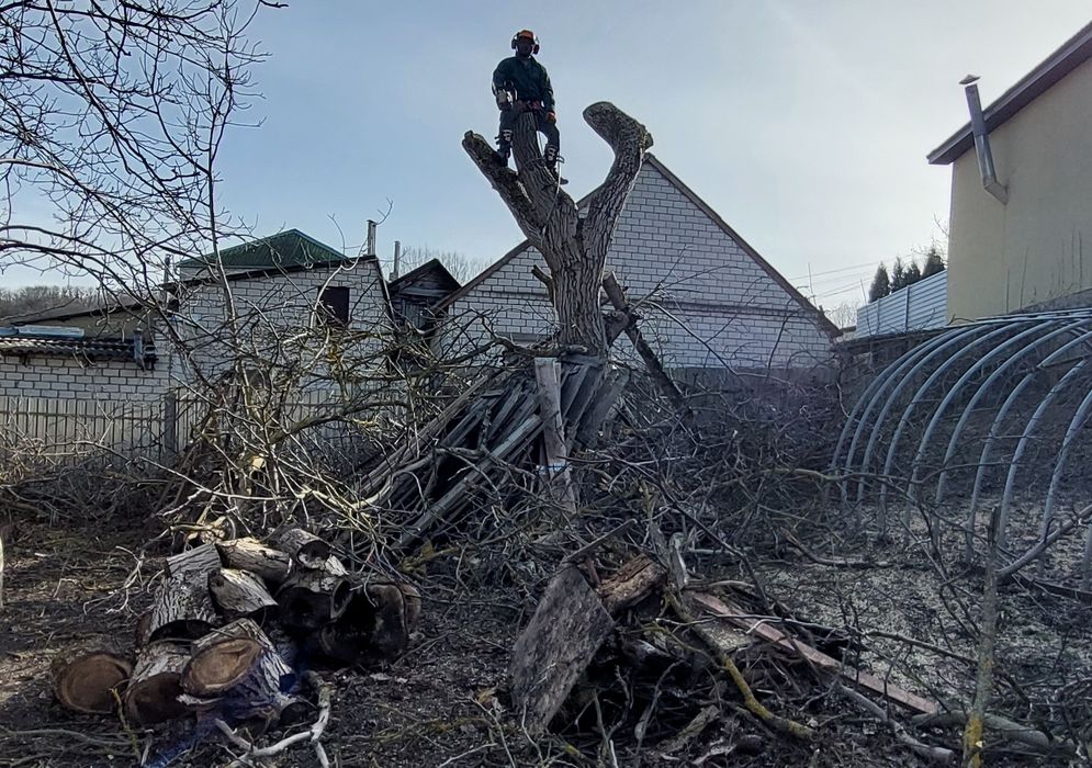 Зрізання та обрізка дерев. Арборіст